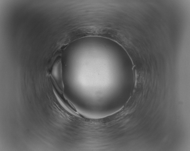 X0000074951202200609011111