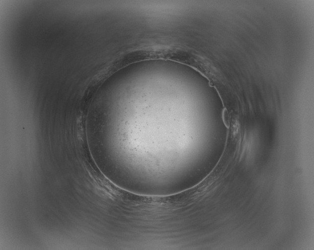 X0000074951204200609011111