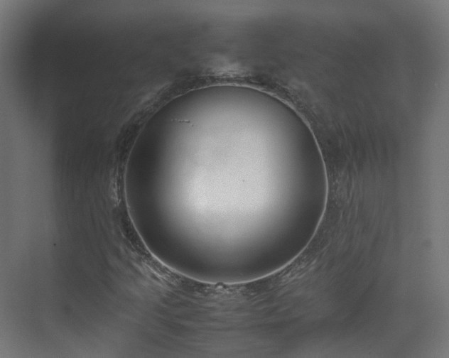 X0000074951205200609011111