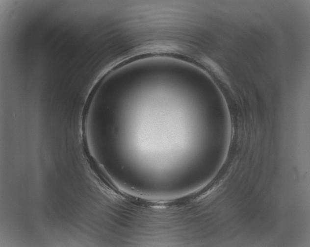X0000074951226200609011112