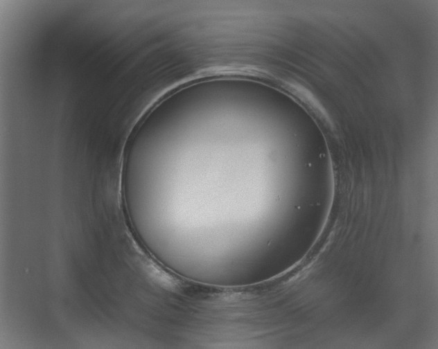 X0000074951228200609011112
