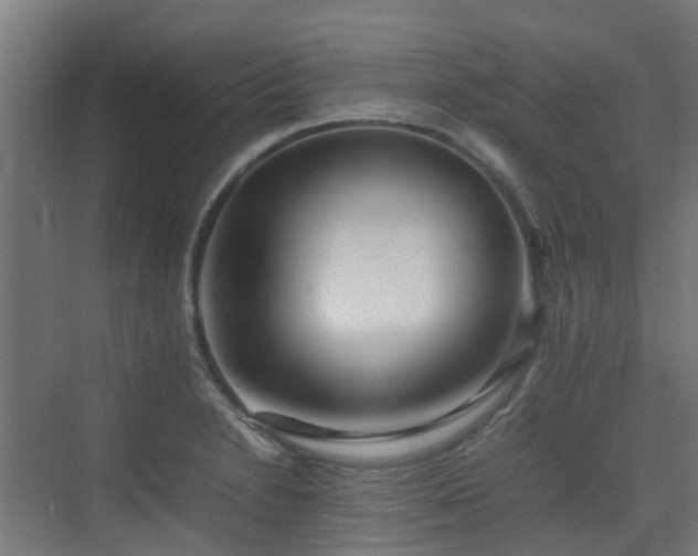 X0000074951230200609011112