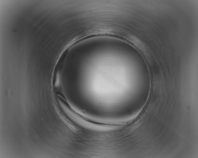 X0000074951234200609011112