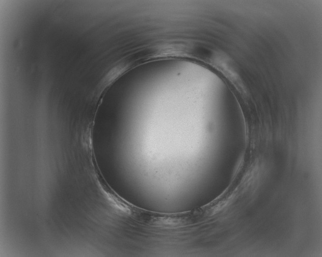 X0000074951241200609011112