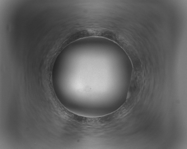 X0000074951249200609011111