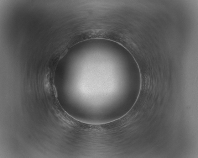 X0000074951250200609011111