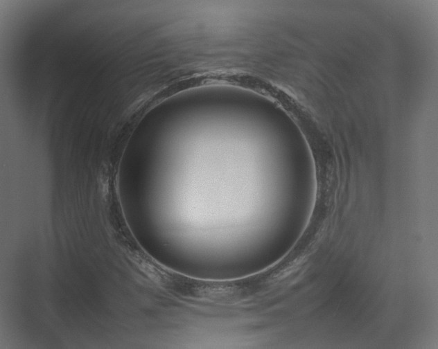 X0000074951257200609011111