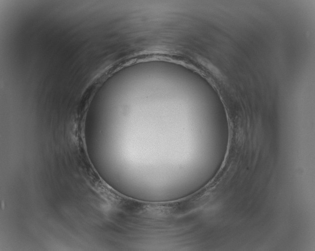 X0000074951258200609011111