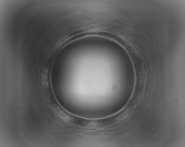 X0000074951265200609011111