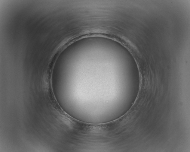 X0000074951266200609011111