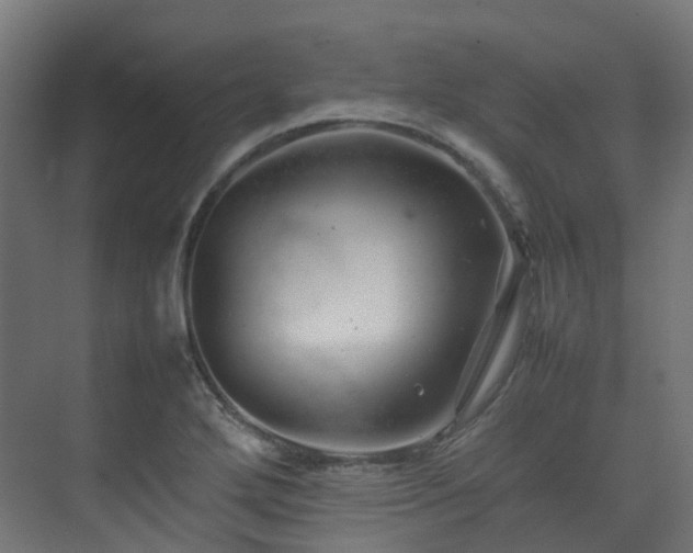 X0000074951272200609011111