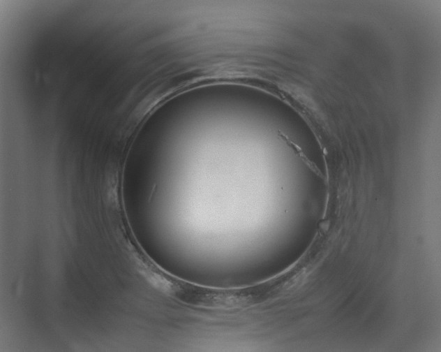 X0000074951273200609011111
