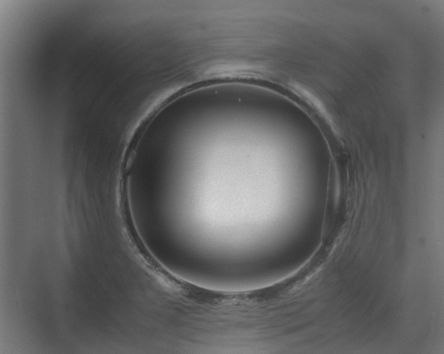 X0000074951277200609011111