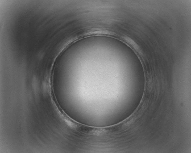 X0000074951282200609011111