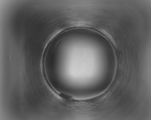 X0000074951285200609011111