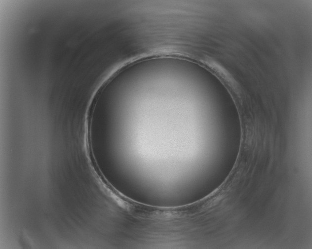 X0000074951286200609011111