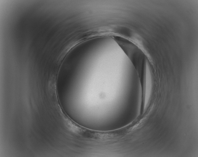 X0000074951289200609011111