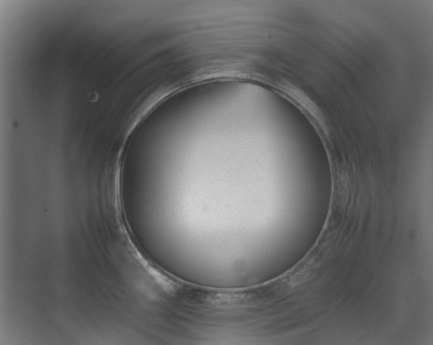 X0000074951290200609011111