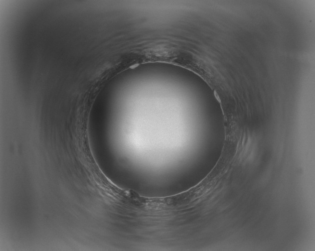 X0000074951297200609011110