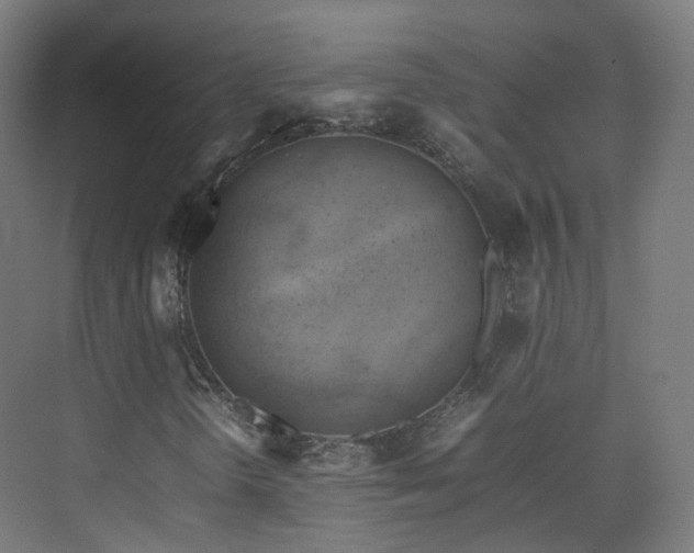X0000074951298200609011110