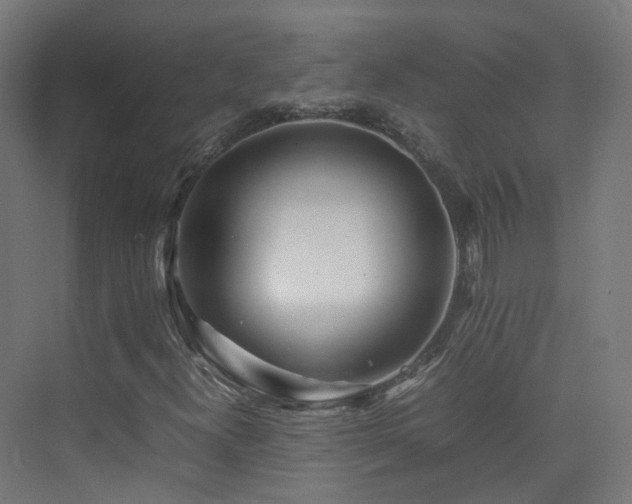 X0000074951300200609011110