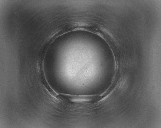 X0000074951305200609011110
