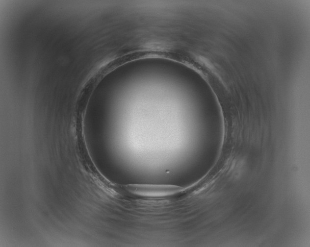 X0000074951307200609011110