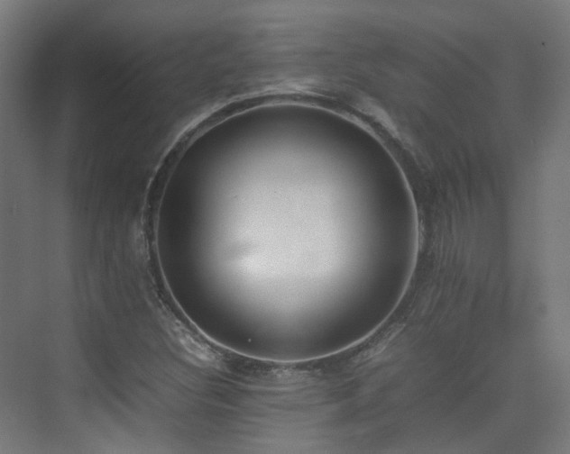 X0000074951308200609011110