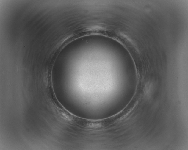 X0000074951313200609011110