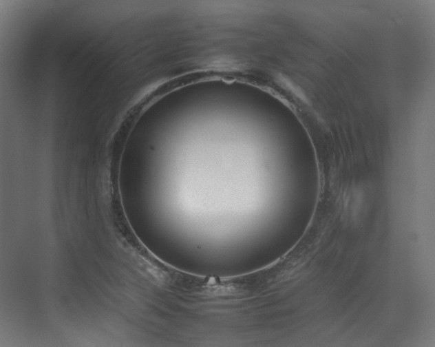 X0000074951315200609011110