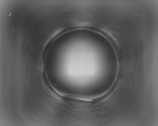 X0000074951317200609011110