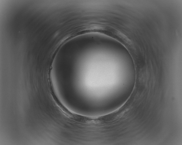X0000074951321200609011110