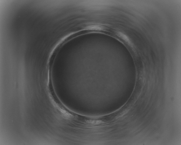 X0000074951323200609011110