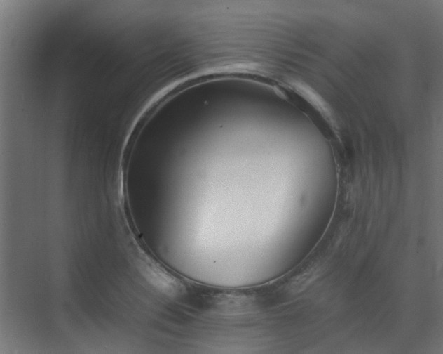 X0000074951324200609011110