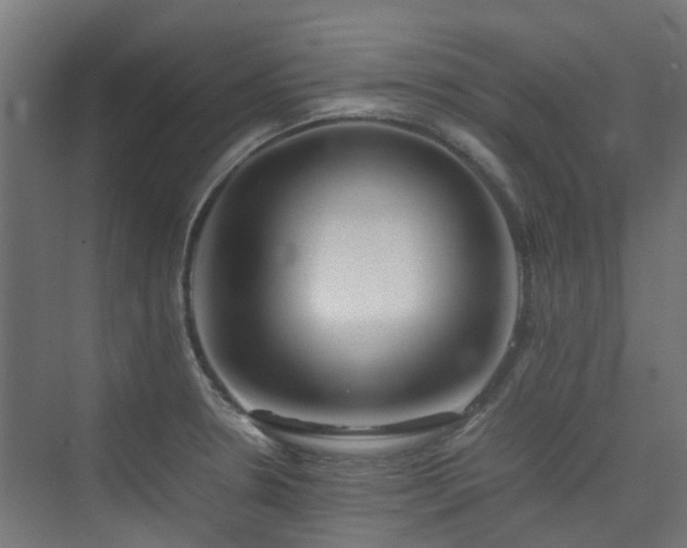 X0000074951330200609011110