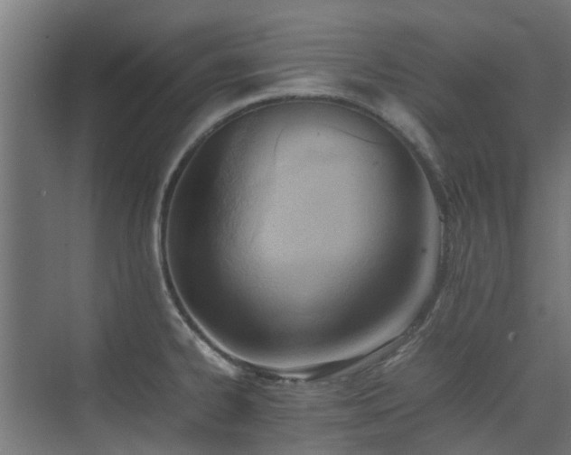 X0000074951334200609011110