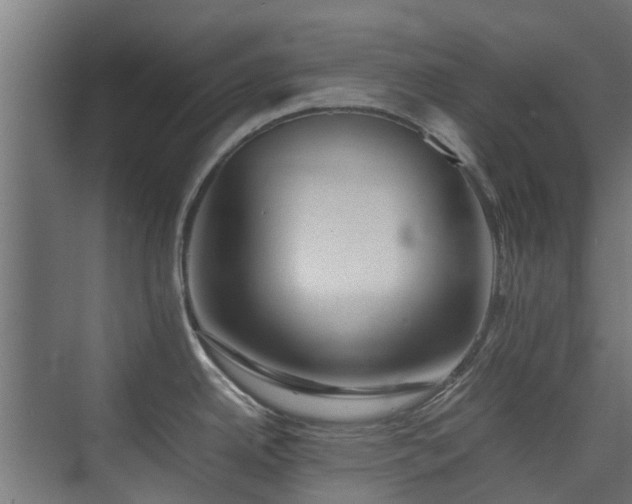 X0000074951342200609011111