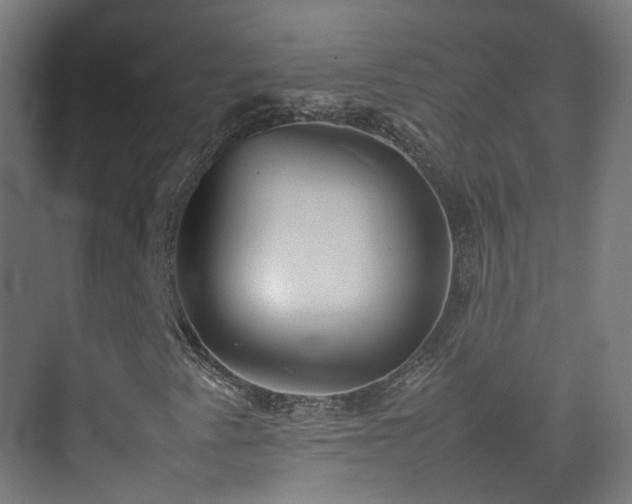 X0000074951345200609011110