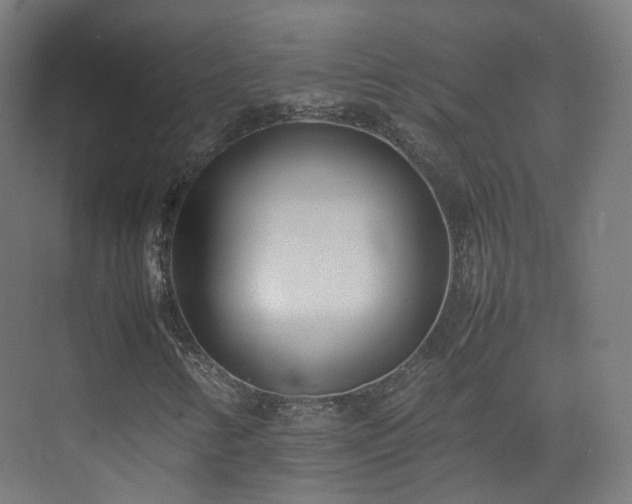 X0000074951346200609011110