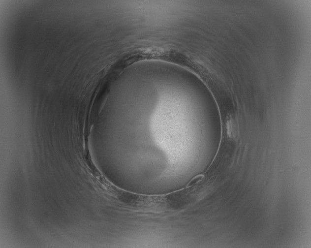 X0000074951347200609011110
