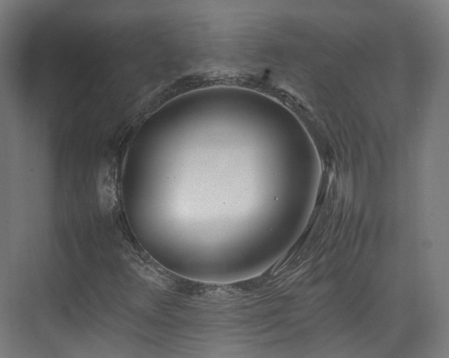 X0000074951348200609011110