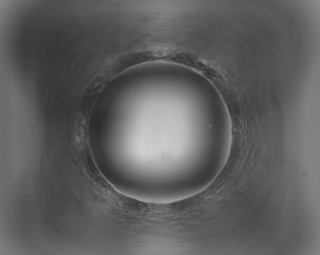 X0000074951349200609011110