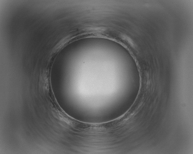 X0000074951354200609011110