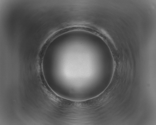X0000074951360200609011109