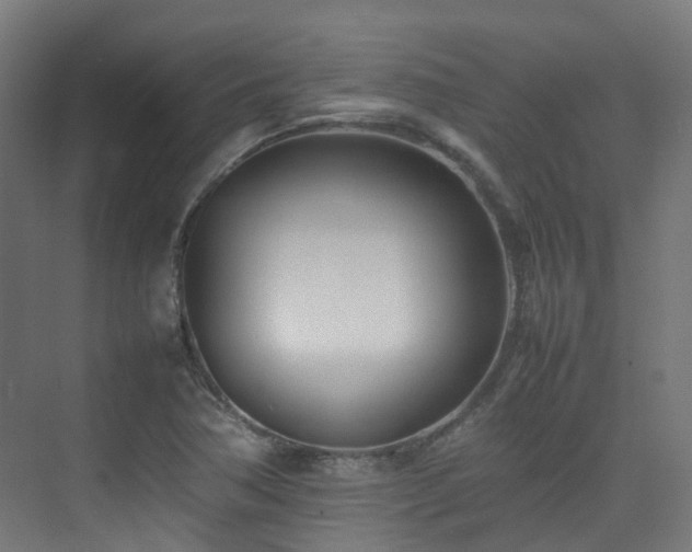 X0000074951362200609011109
