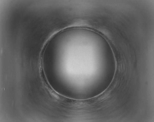 X0000074951366200609011109