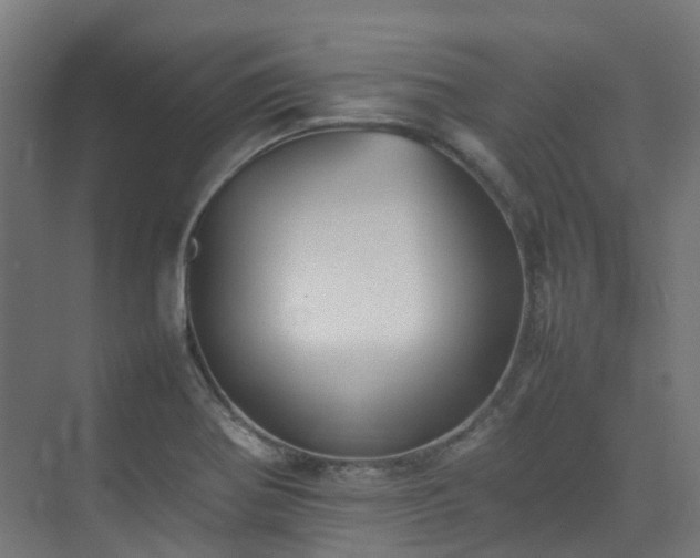 X0000074951370200609011109