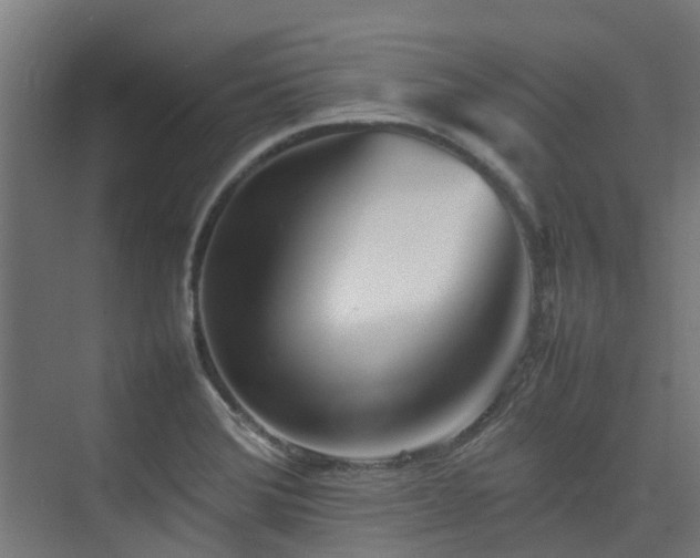 X0000074951372200609011109