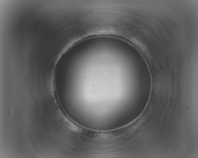 X0000074951374200609011109