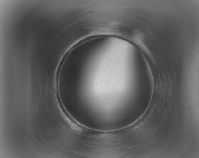 X0000074951380200609011109